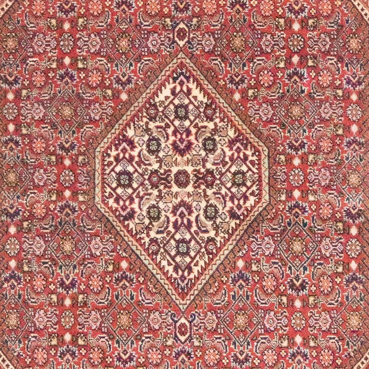 Tapis persan - Bidjar - 184 x 108 cm - rouille