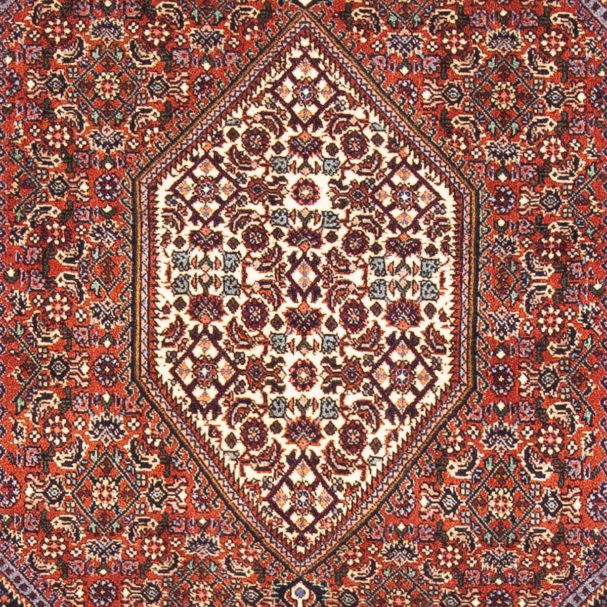 Tapis persan - Bidjar - 152 x 105 cm - rouge