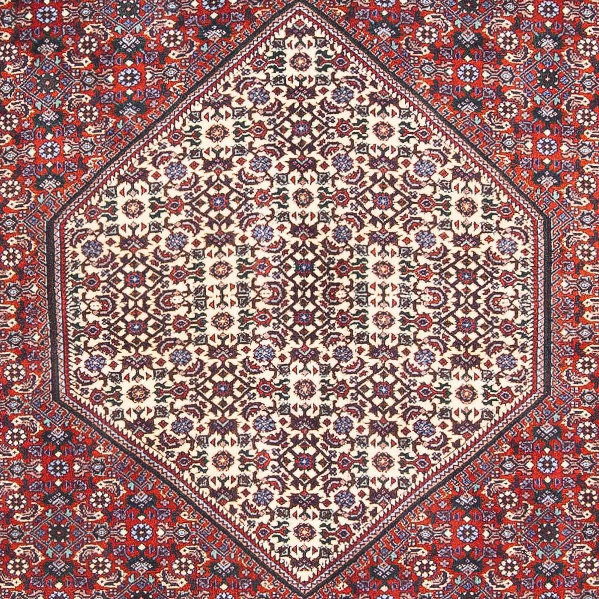 Tapis persan - Bidjar - 170 x 110 cm - beige