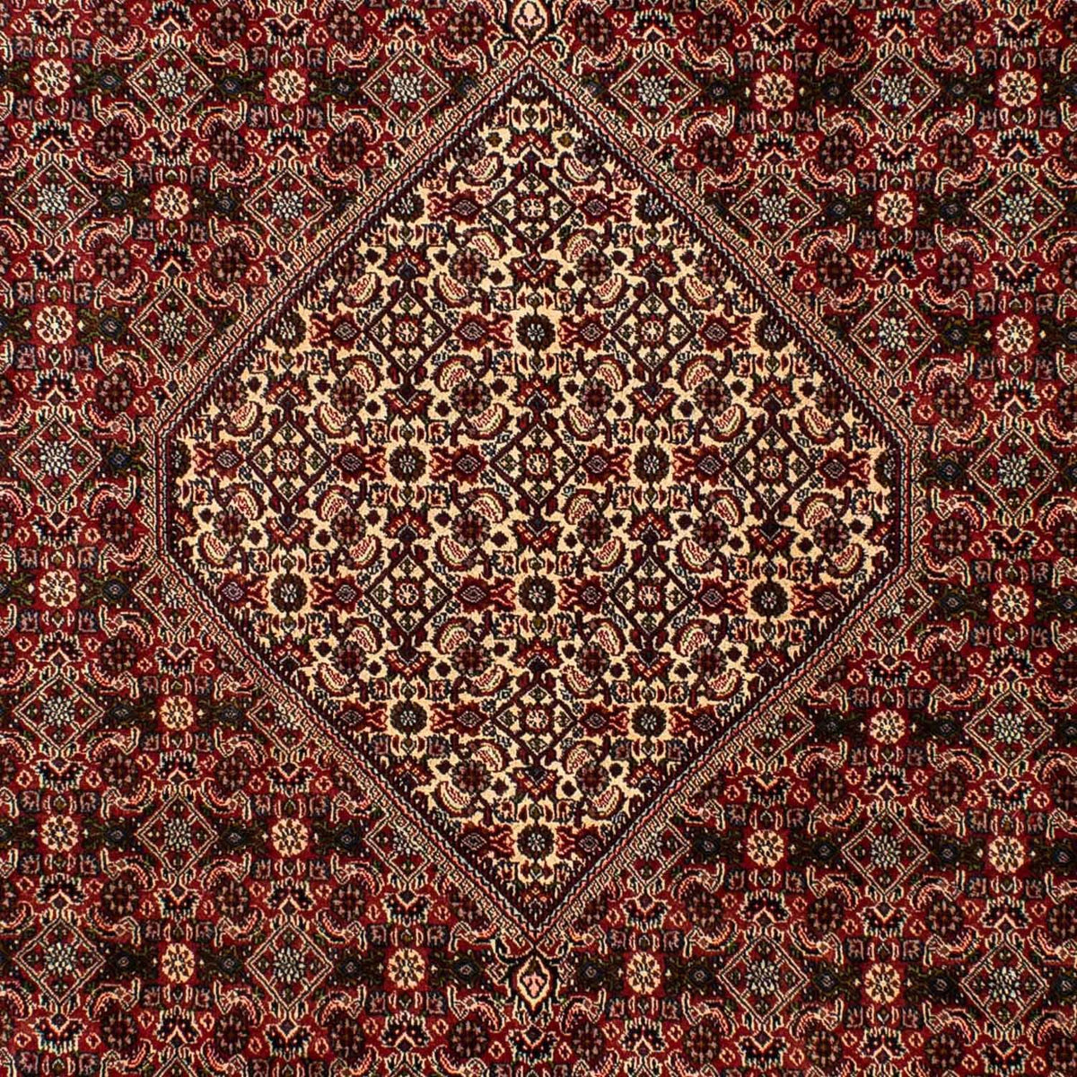 Tapis persan - Bidjar - 309 x 197 cm - marron