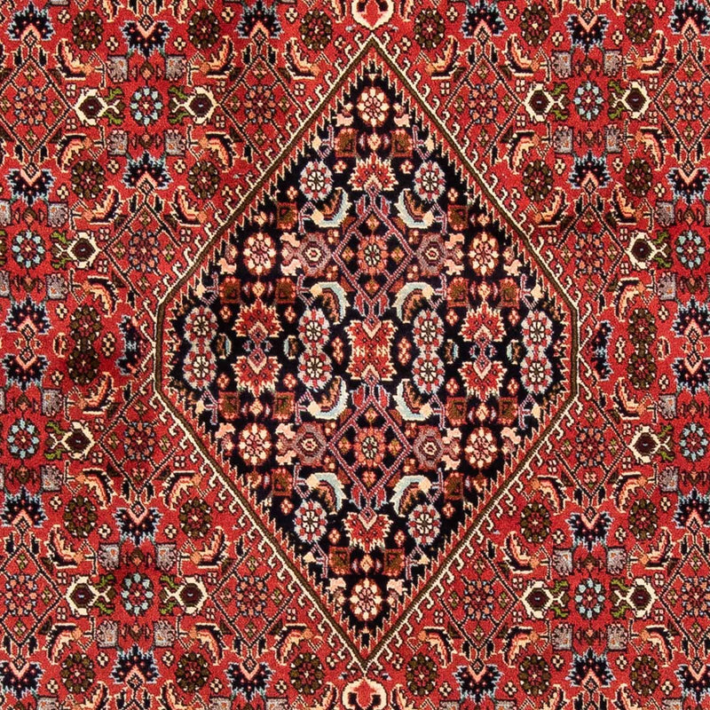 Tapis persan - Bidjar - 247 x 169 cm - rouge foncé