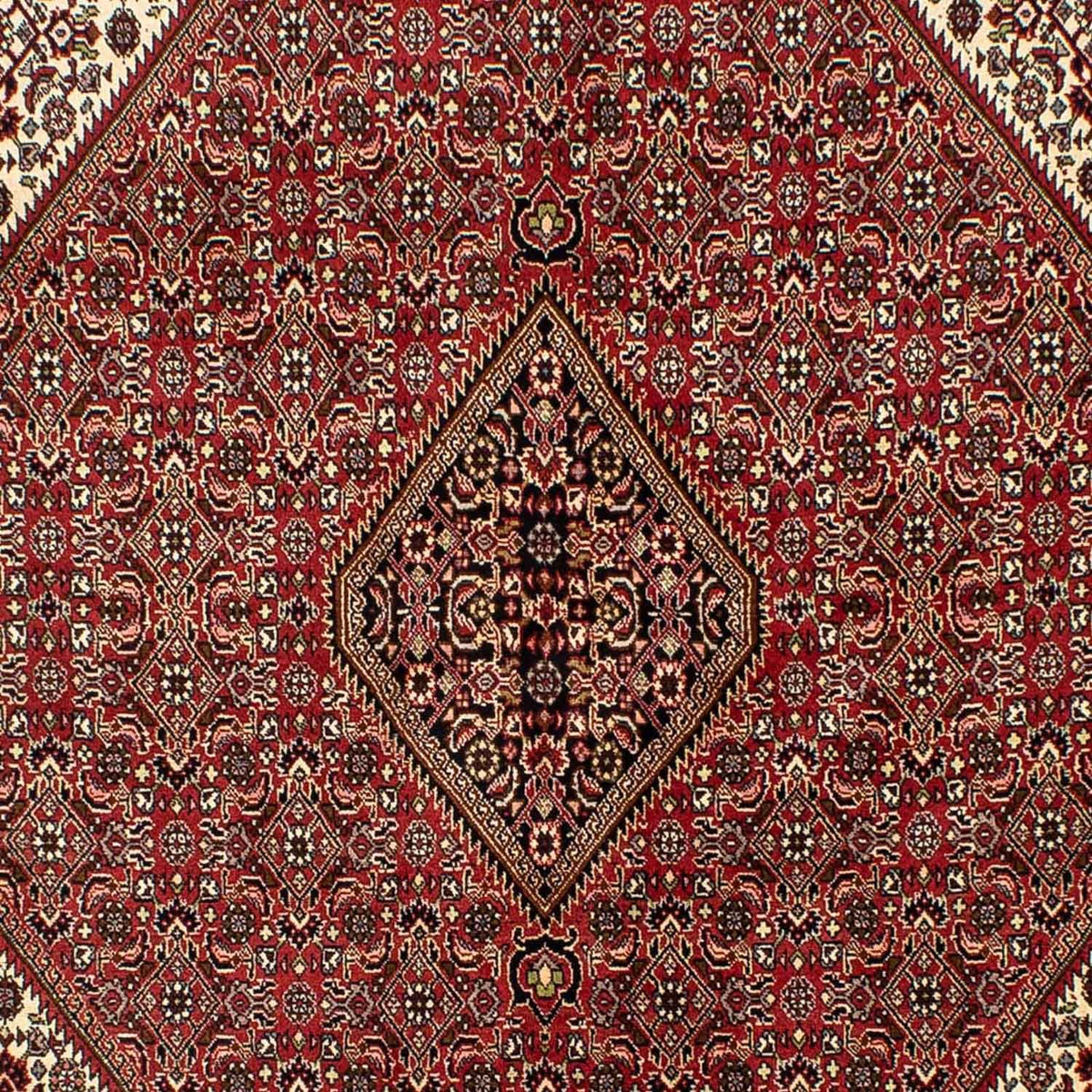 Tapis persan - Bidjar - 242 x 171 cm - rouge foncé