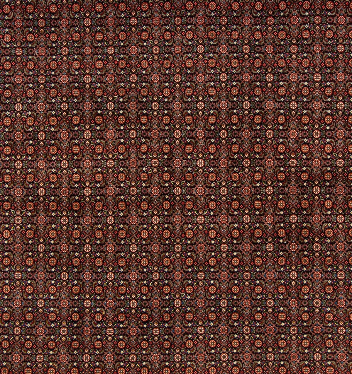 Tapis persan - Tabriz carré - 200 x 195 cm - bleu foncé