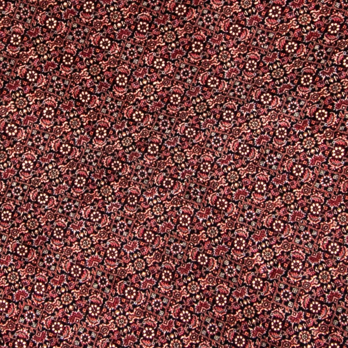 Tapis persan - Bidjar ronde  - 250 x 250 cm - rouge