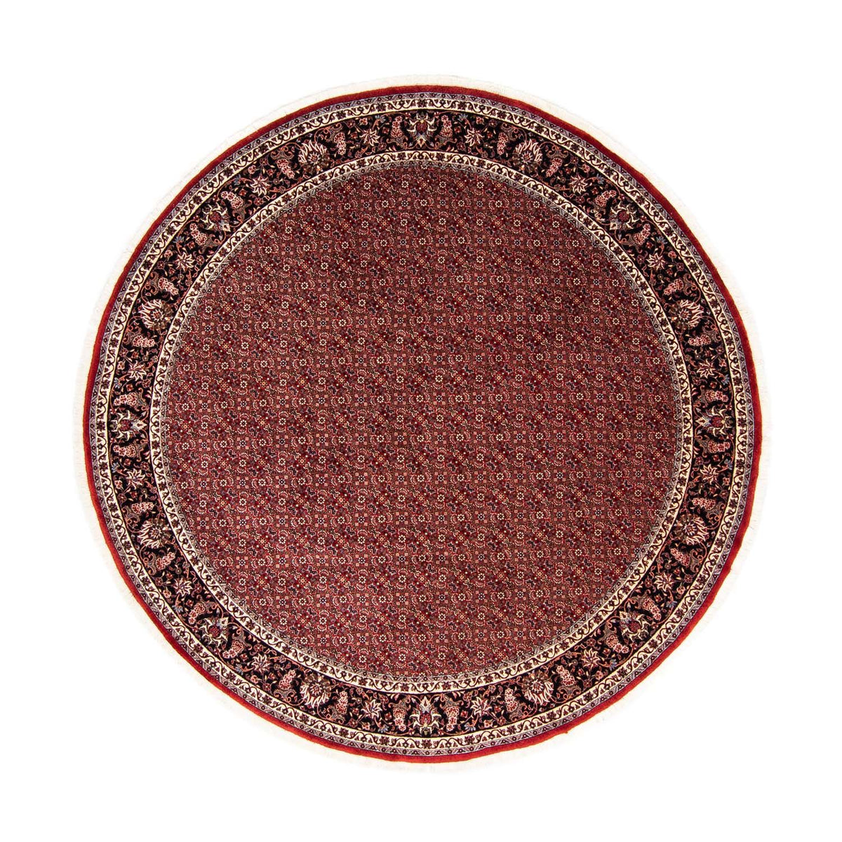 Tapis persan - Bidjar ronde  - 250 x 250 cm - rouge foncé