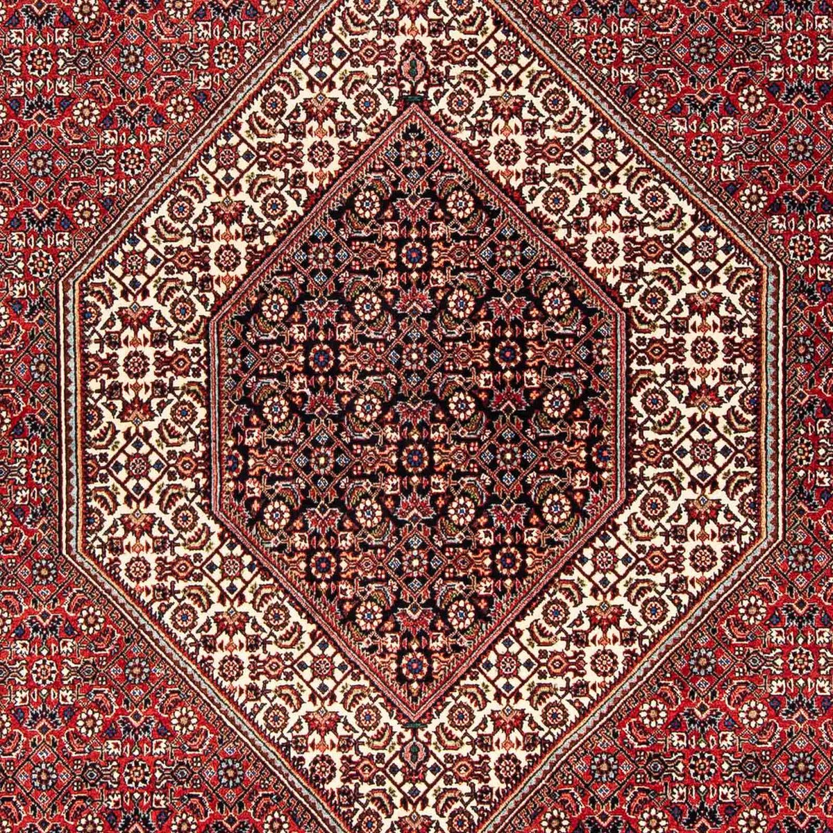 Tapis persan - Bidjar - 254 x 171 cm - rouge foncé