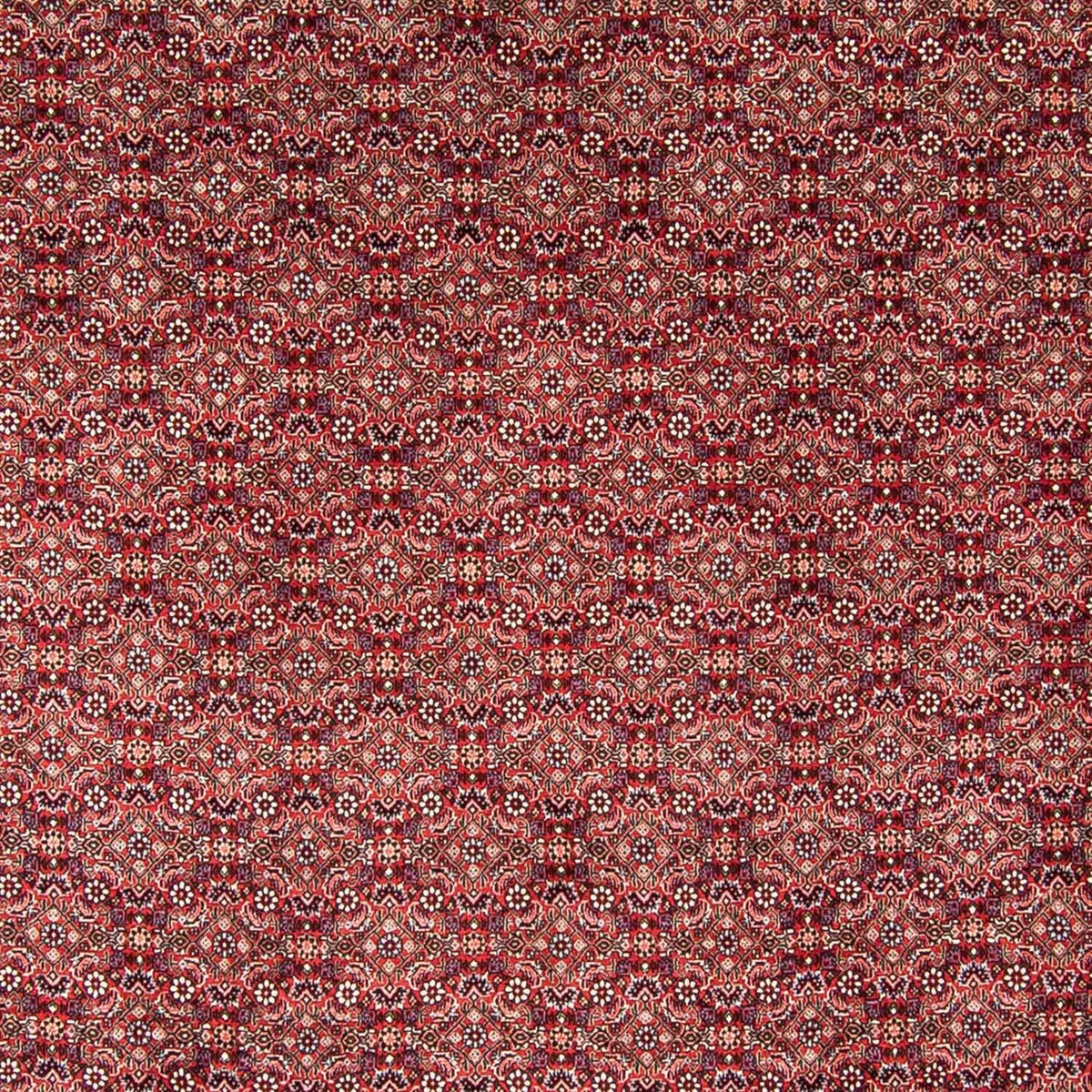 Tapis persan - Bidjar - 350 x 246 cm - rouge