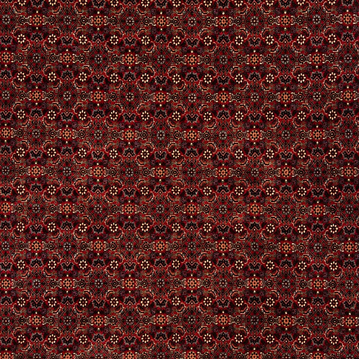 Tapis persan - Bidjar - 256 x 202 cm - rouge foncé