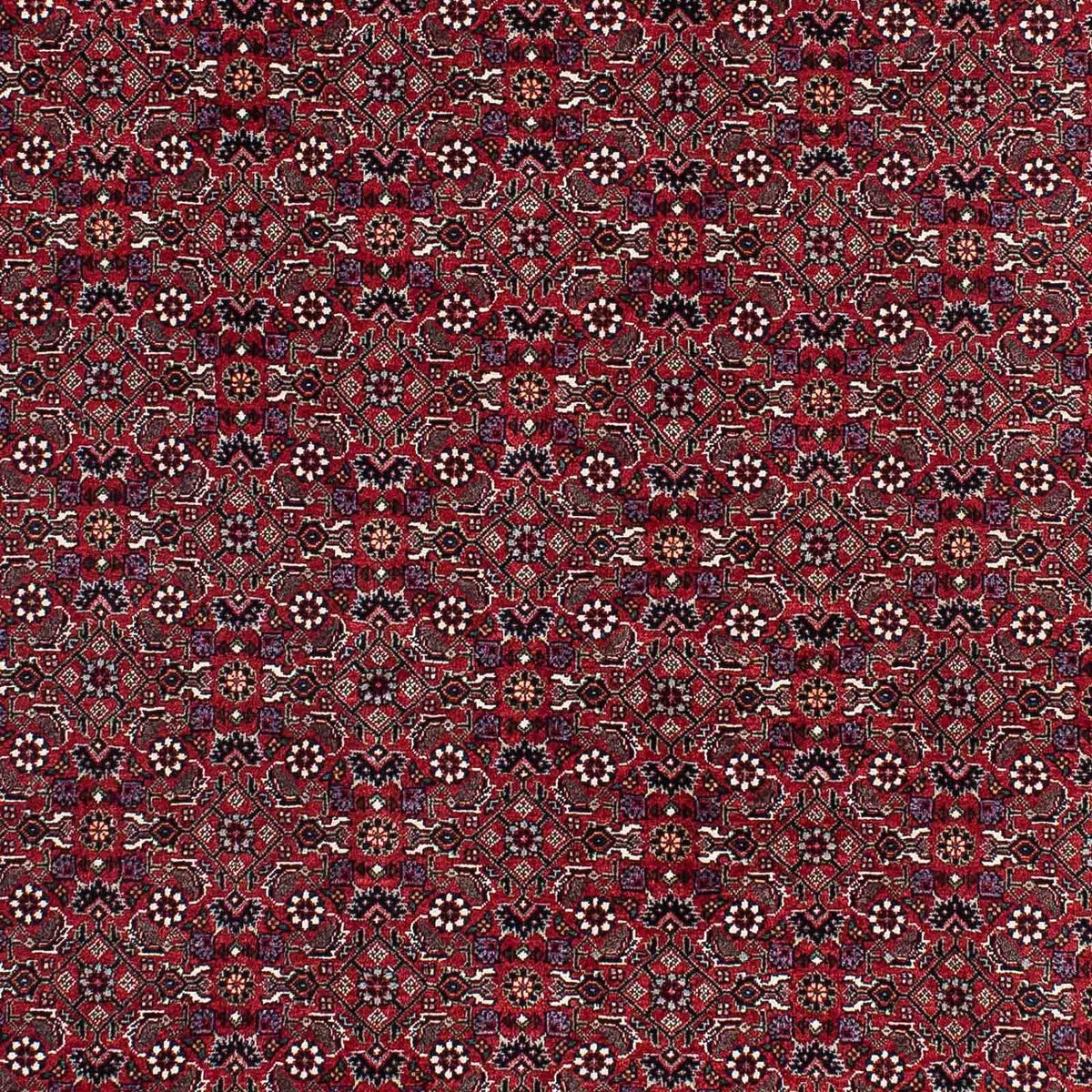 Tapis persan - Bidjar - 221 x 143 cm - rouge