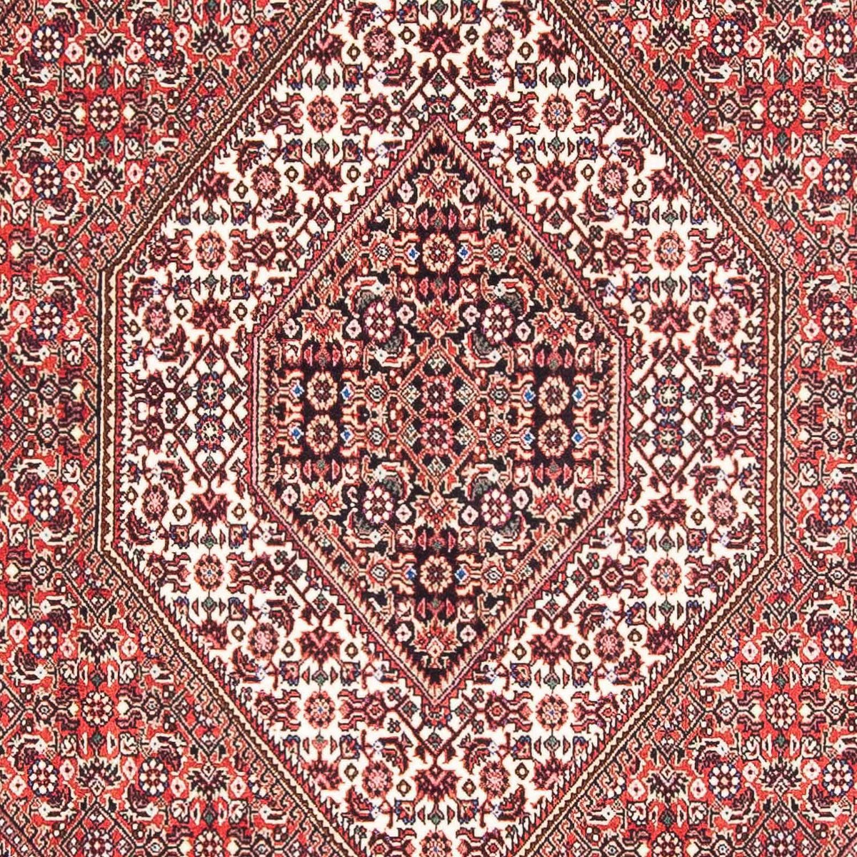 Tapis persan - Bidjar - 182 x 111 cm - rouge