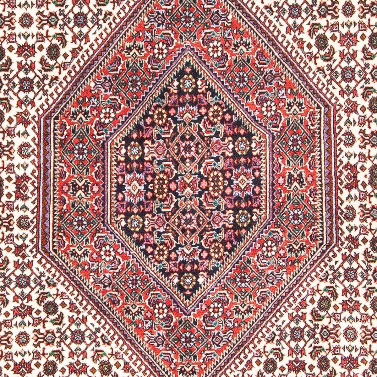 Tapis persan - Bidjar - 173 x 105 cm - beige