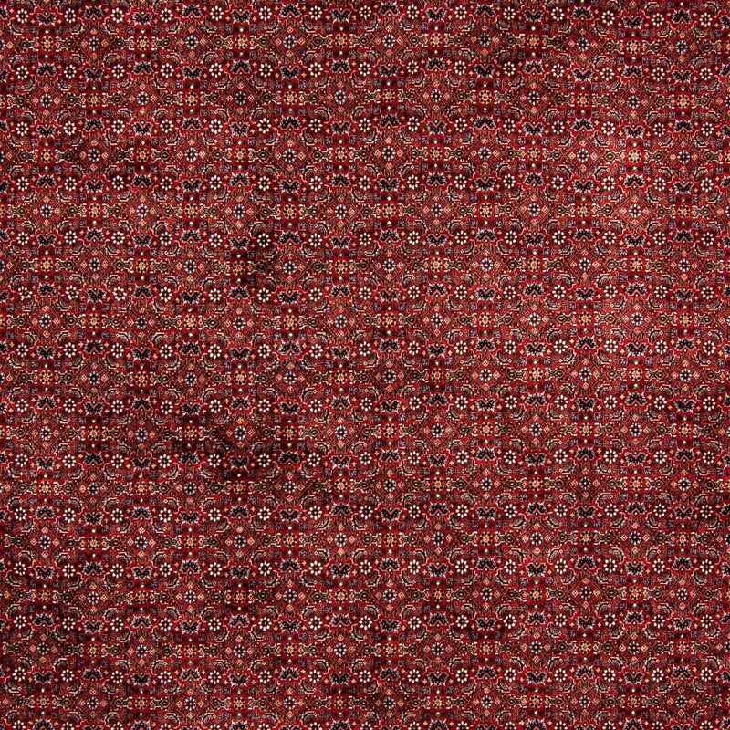 Tapis persan - Bidjar - 392 x 299 cm - rouge foncé