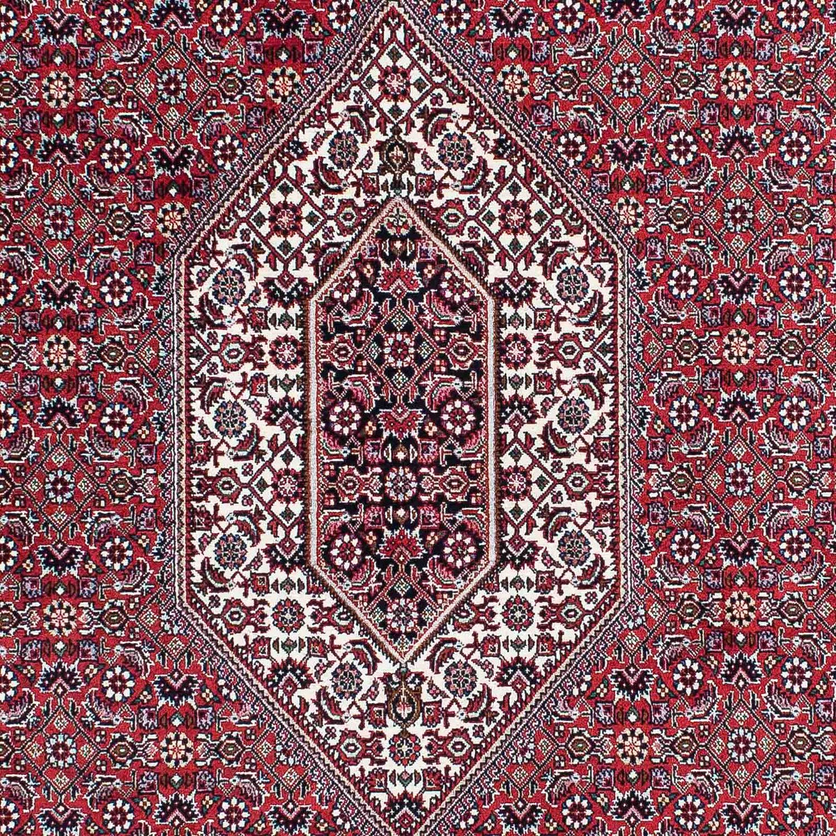 Tapis persan - Bidjar - 210 x 131 cm - rouge clair