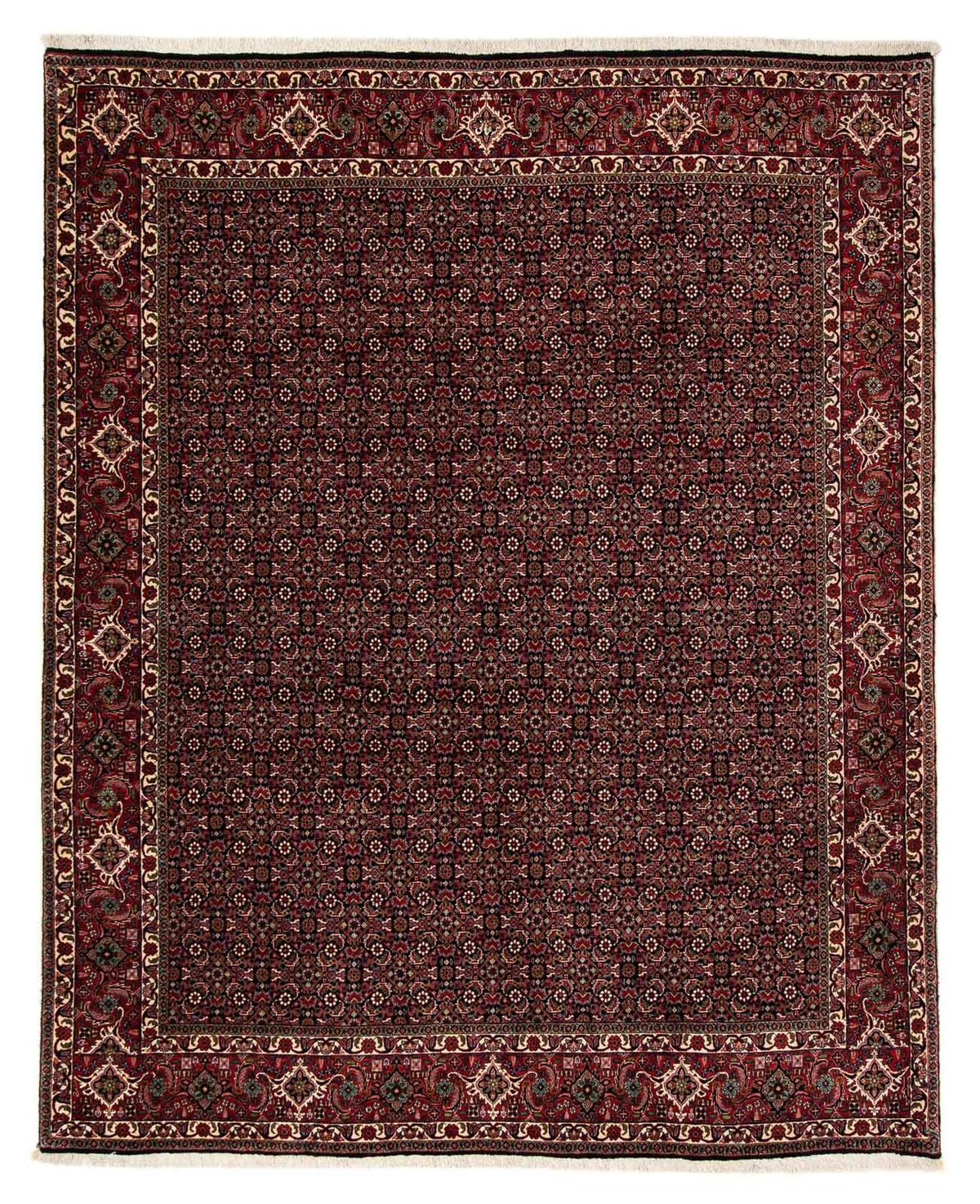 Tapis persan - Bidjar - 248 x 198 cm - rouge foncé
