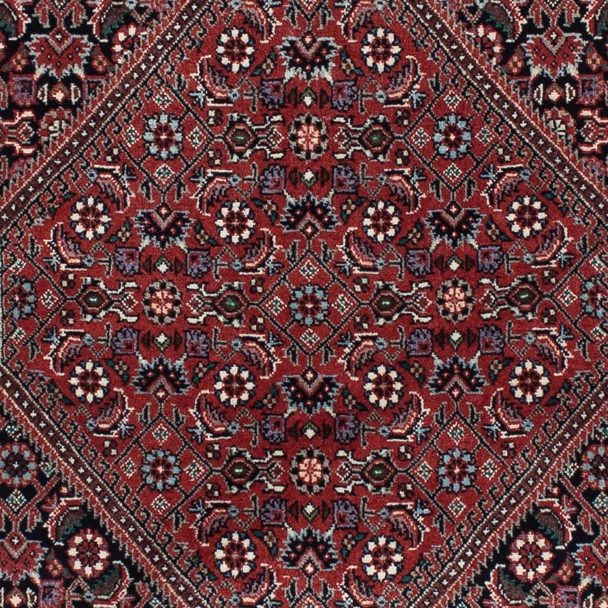 Tapis de couloir Tapis persan - Bidjar - 217 x 73 cm - bleu foncé