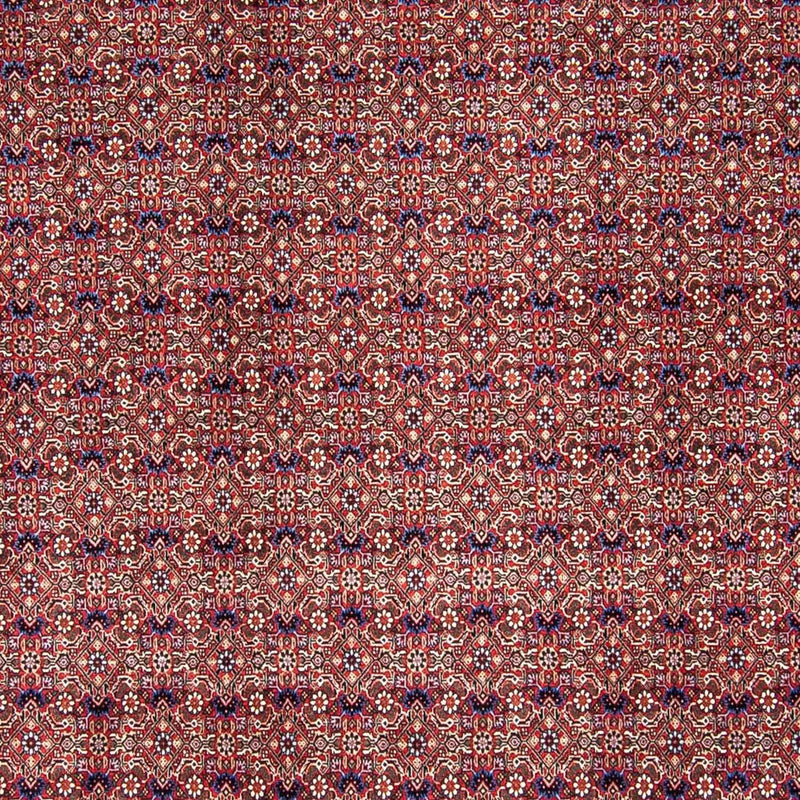 Tapis persan - Bidjar - 292 x 250 cm - rouge clair