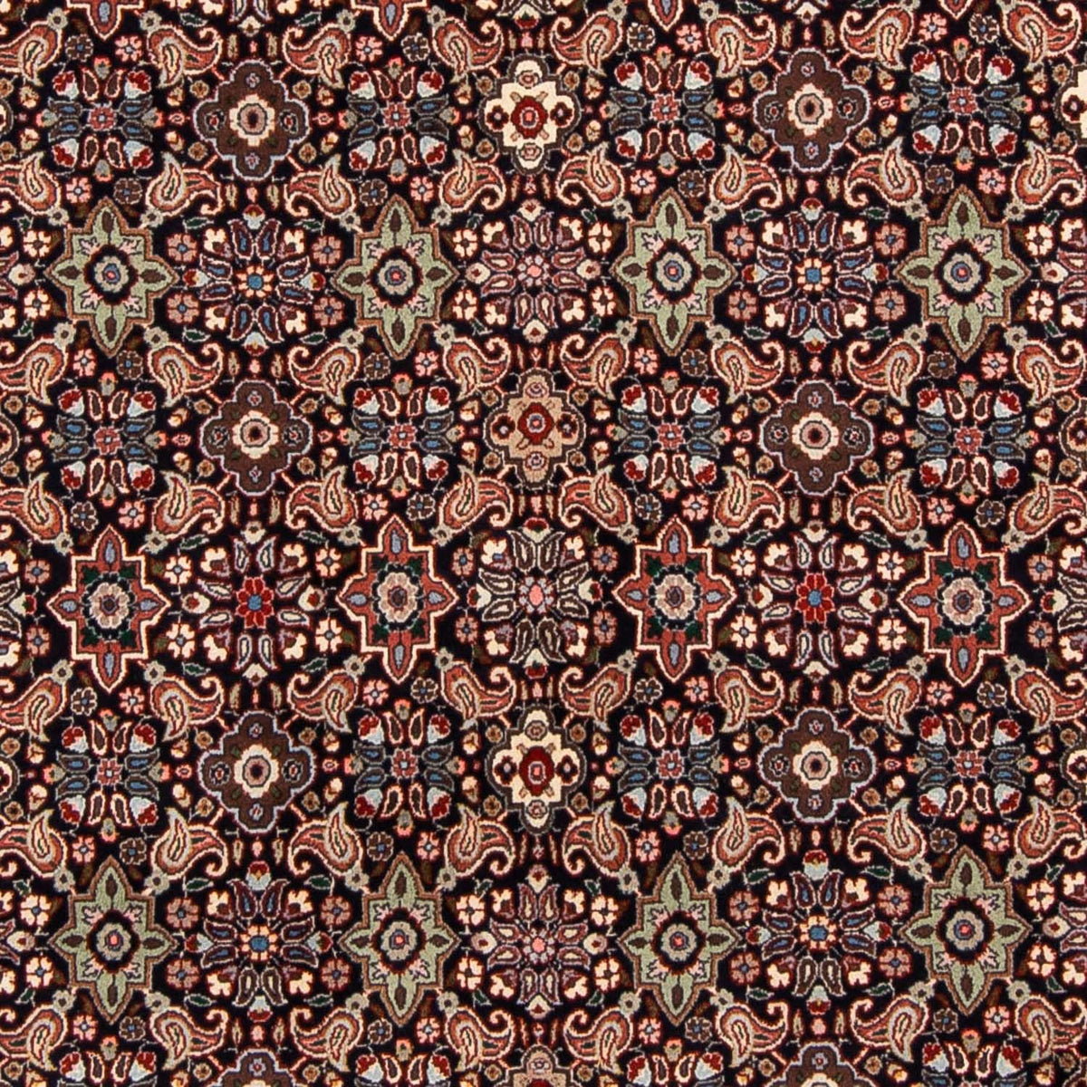 Tapis persan - Bidjar - 248 x 168 cm - marron clair