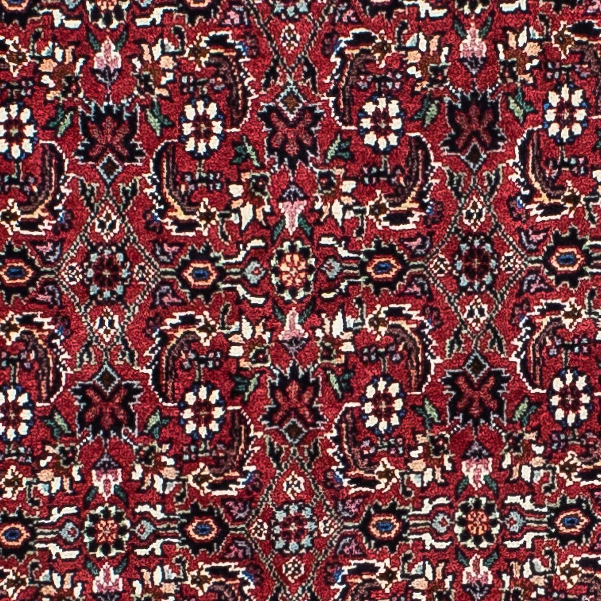 Tapis persan - Bidjar - 208 x 134 cm - rouge foncé