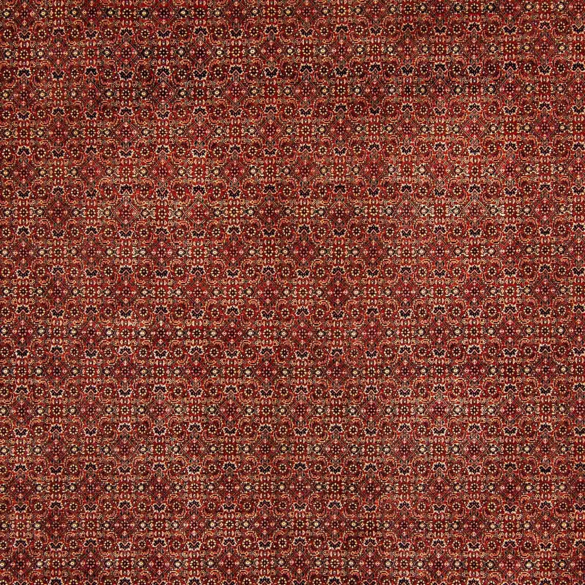 Tapis persan - Bidjar - 384 x 300 cm - rouge foncé