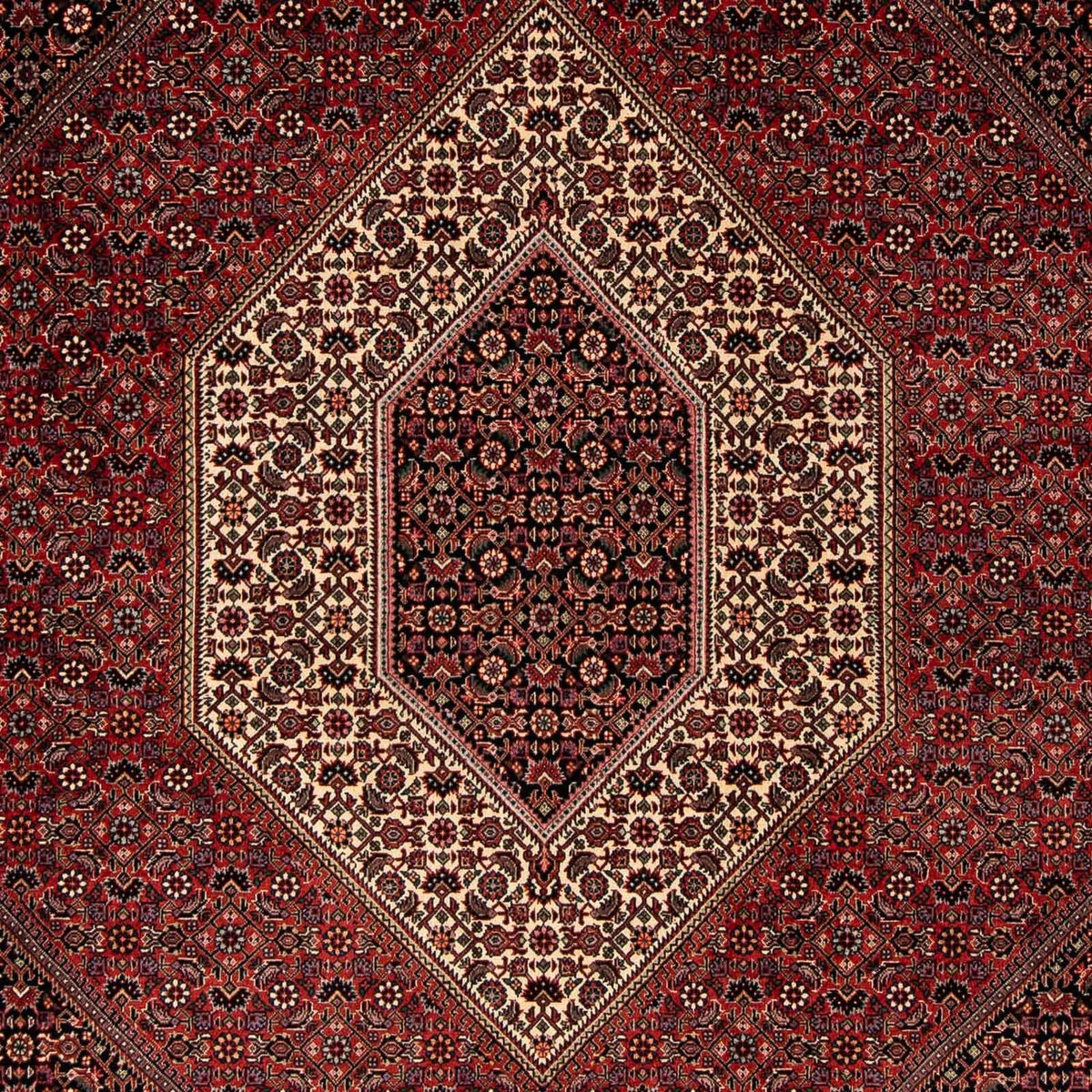 Tapis persan - Bidjar - 251 x 202 cm - rouge foncé