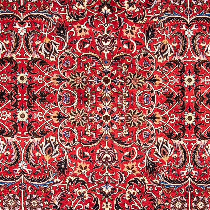 Tapis persan - Bidjar - 242 x 175 cm - rouge foncé