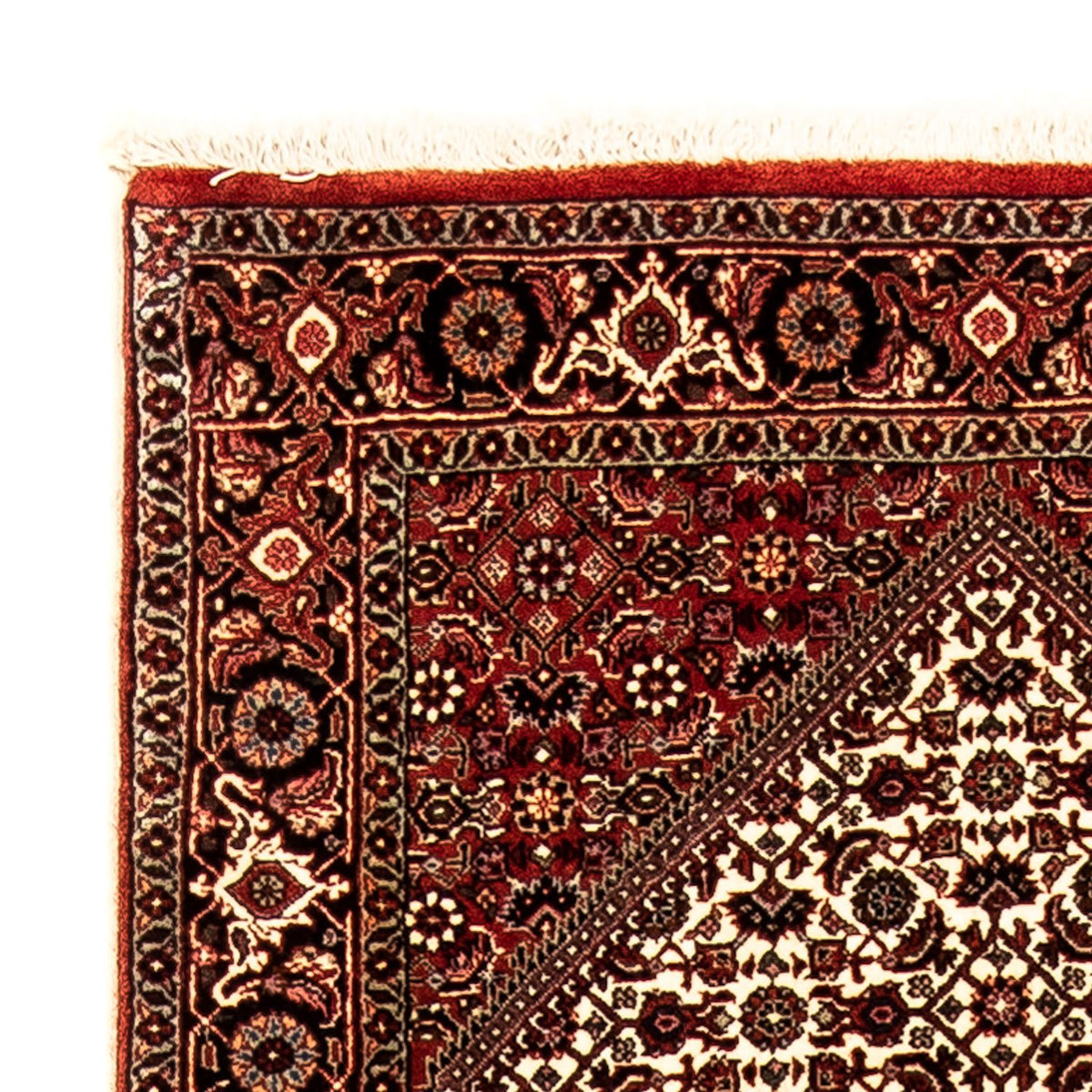 Tapis de couloir Tapis persan - Bidjar - 284 x 80 cm - multicolore