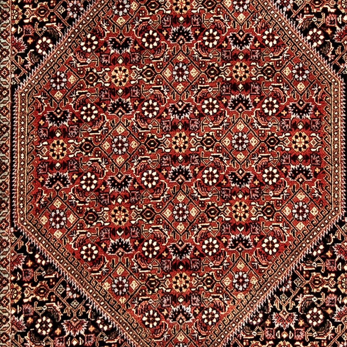 Tapis de couloir Tapis persan - Bidjar - 292 x 83 cm - multicolore