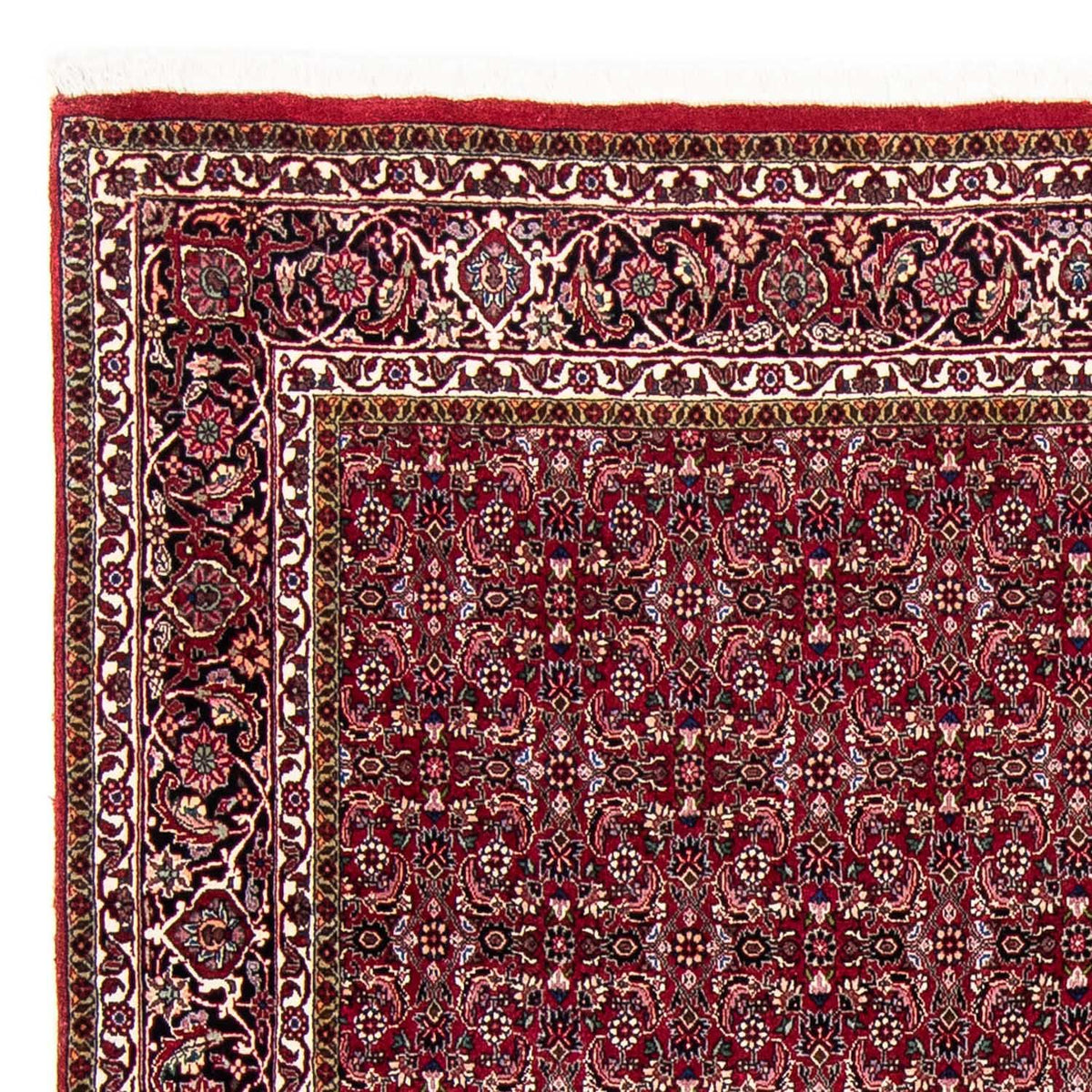 Tapis persan - Bidjar - 245 x 174 cm - rouge