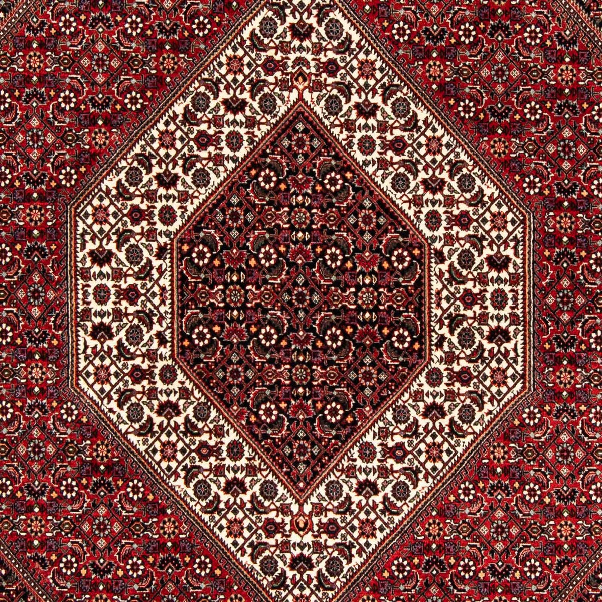 Tapis persan - Bidjar - 240 x 172 cm - rouge foncé