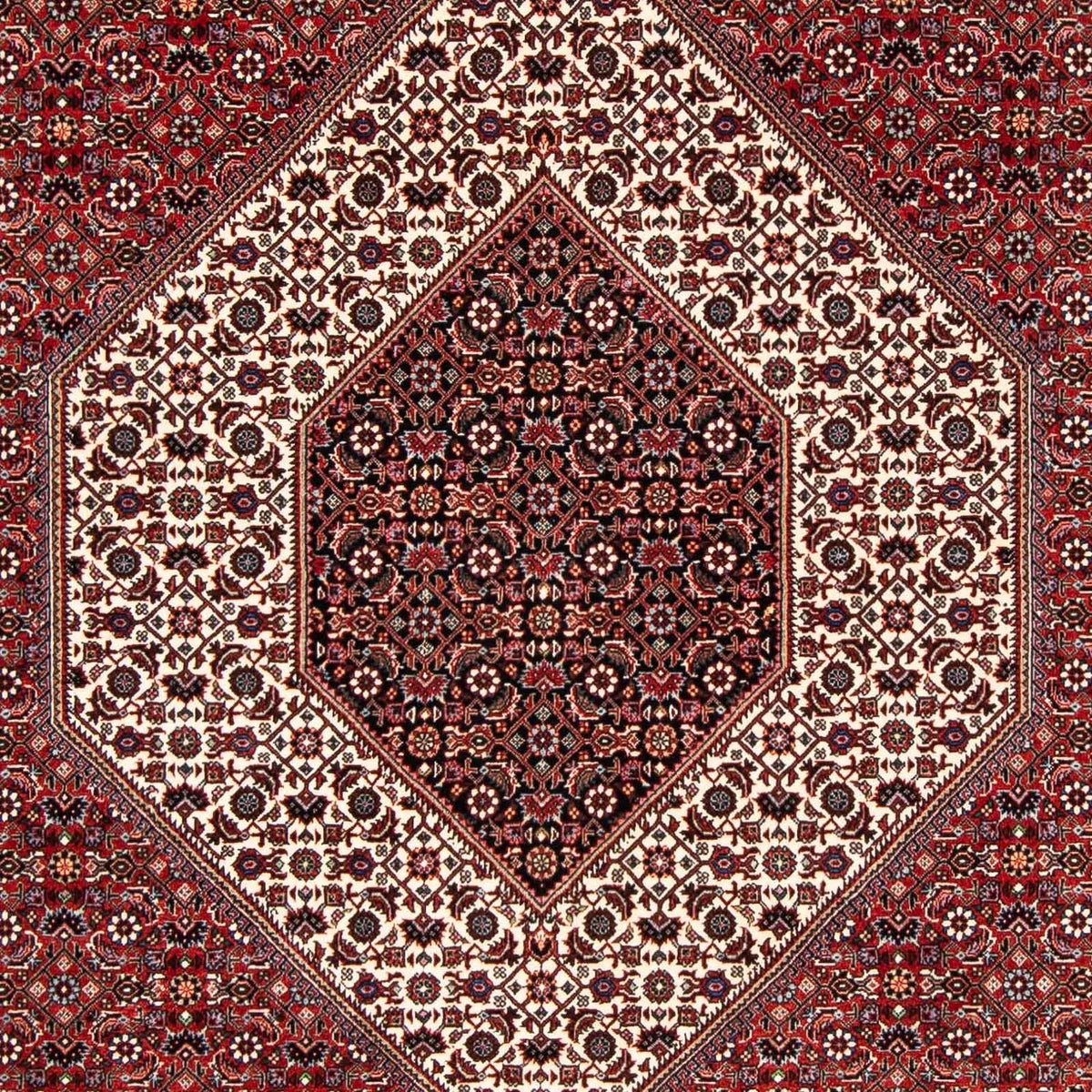 Tapis persan - Bidjar - 249 x 174 cm - rouge foncé