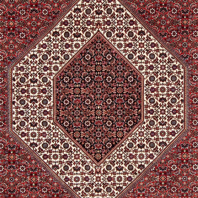 Tapis persan - Bidjar - 249 x 174 cm - rouge foncé
