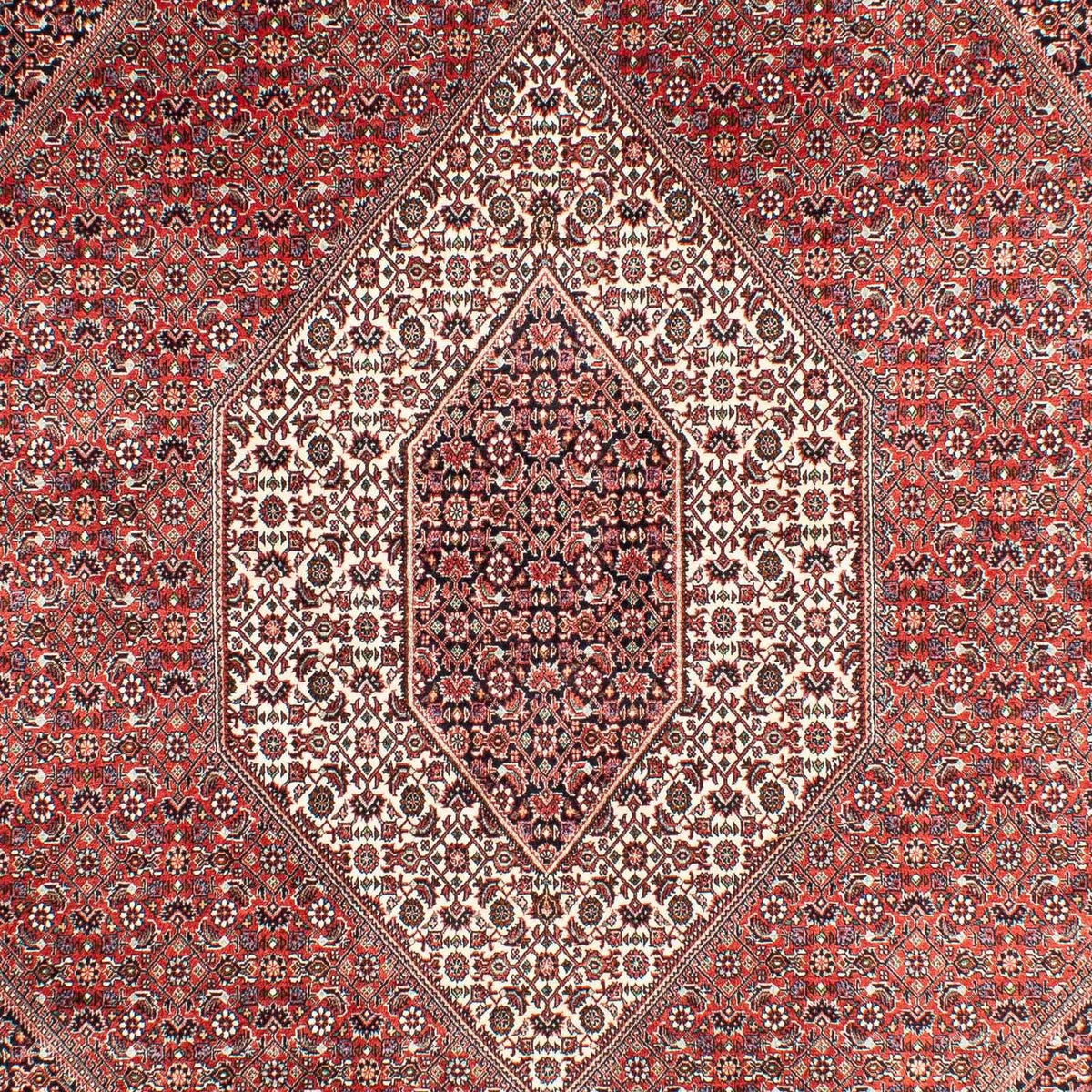 Tapis persan - Bidjar - 303 x 203 cm - rouge clair