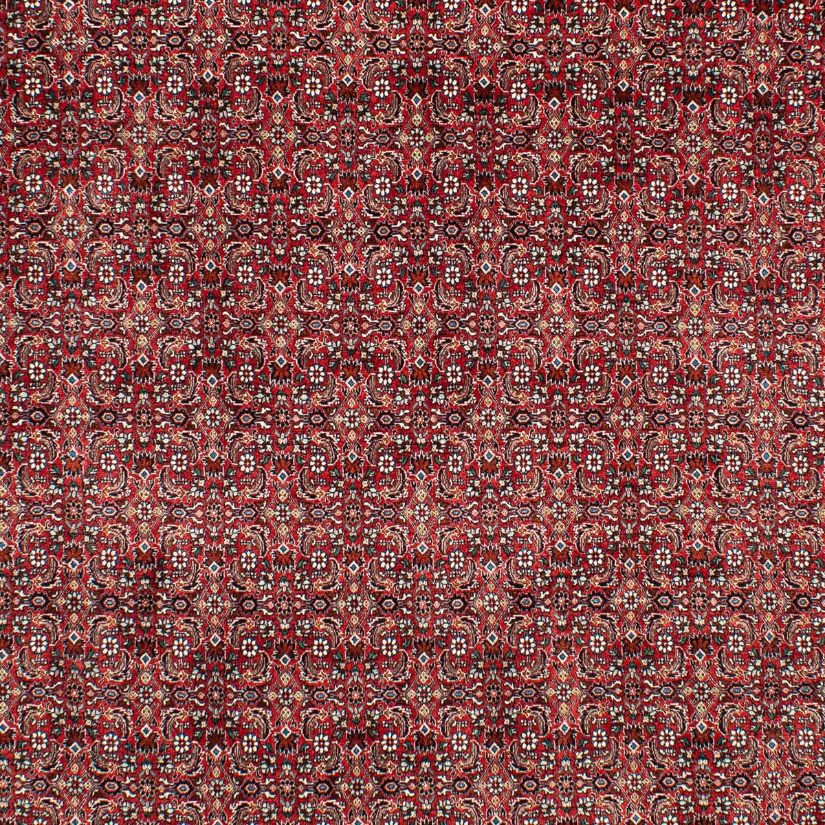 Tapis persan - Bidjar - 309 x 209 cm - rouge foncé