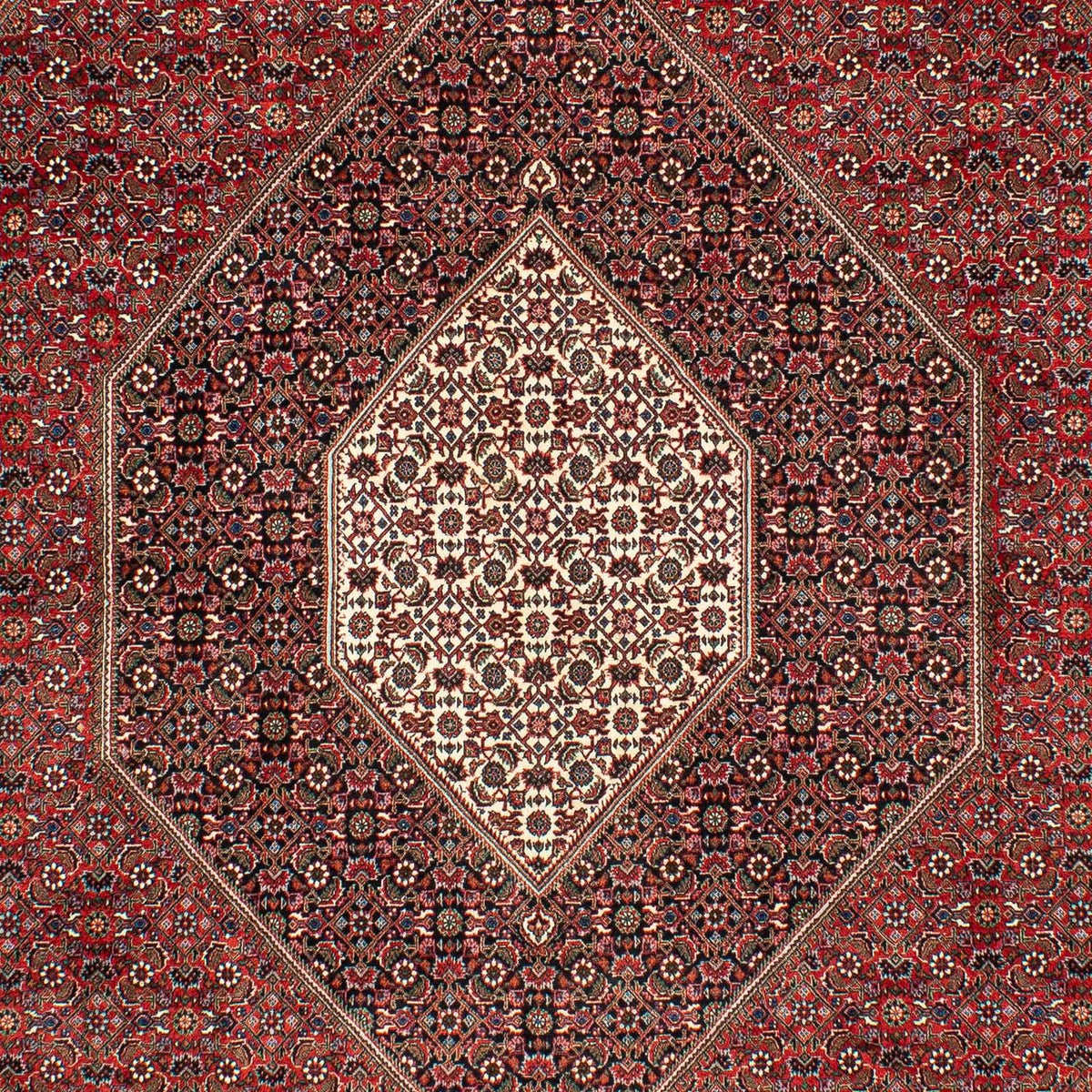 Tapis persan - Bidjar - 309 x 208 cm - rouge foncé