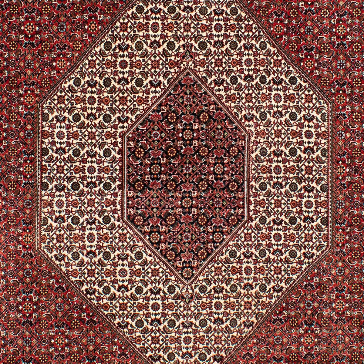 Tapis persan - Bidjar - 317 x 201 cm - rouge foncé