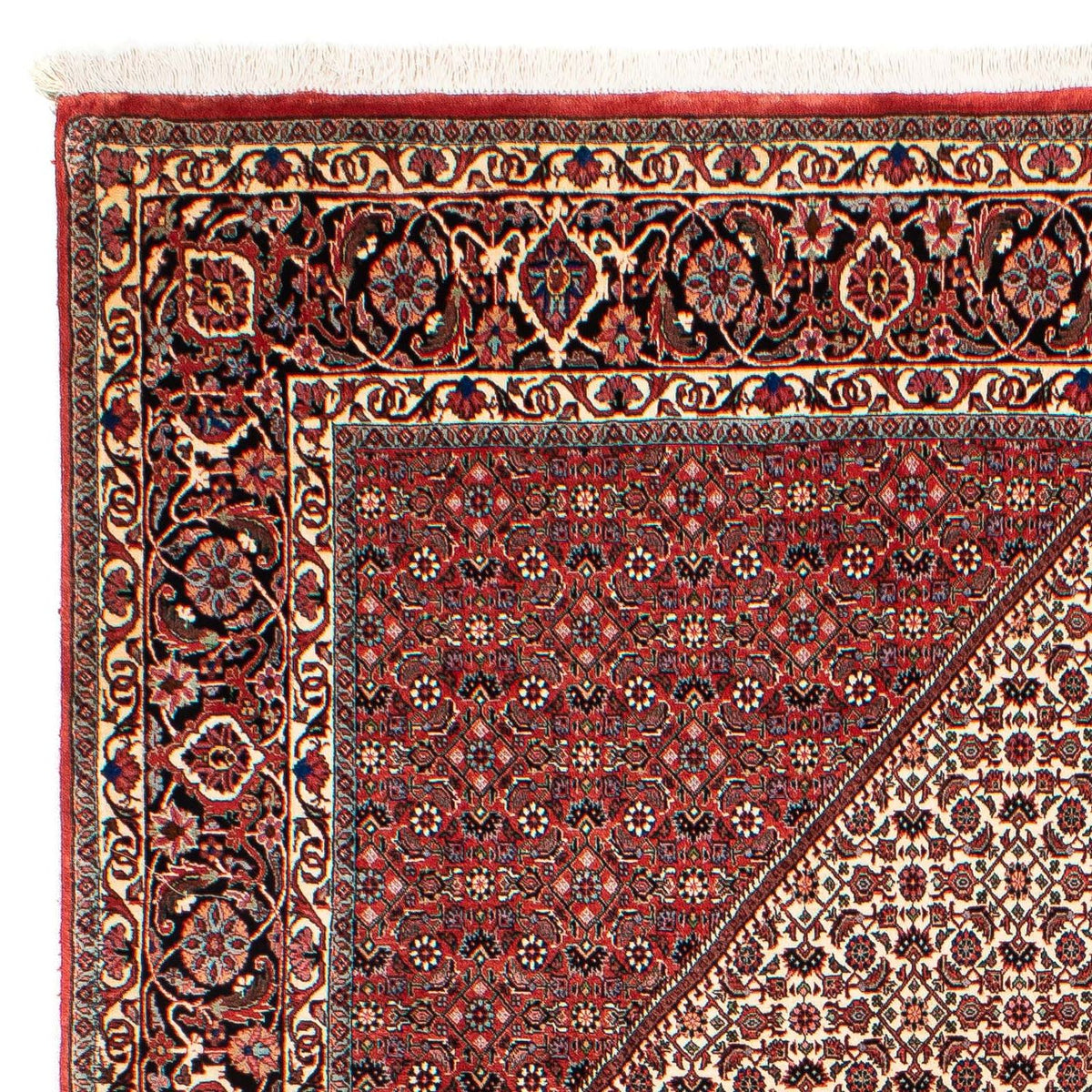 Tapis persan - Bidjar - 289 x 204 cm - rouge foncé