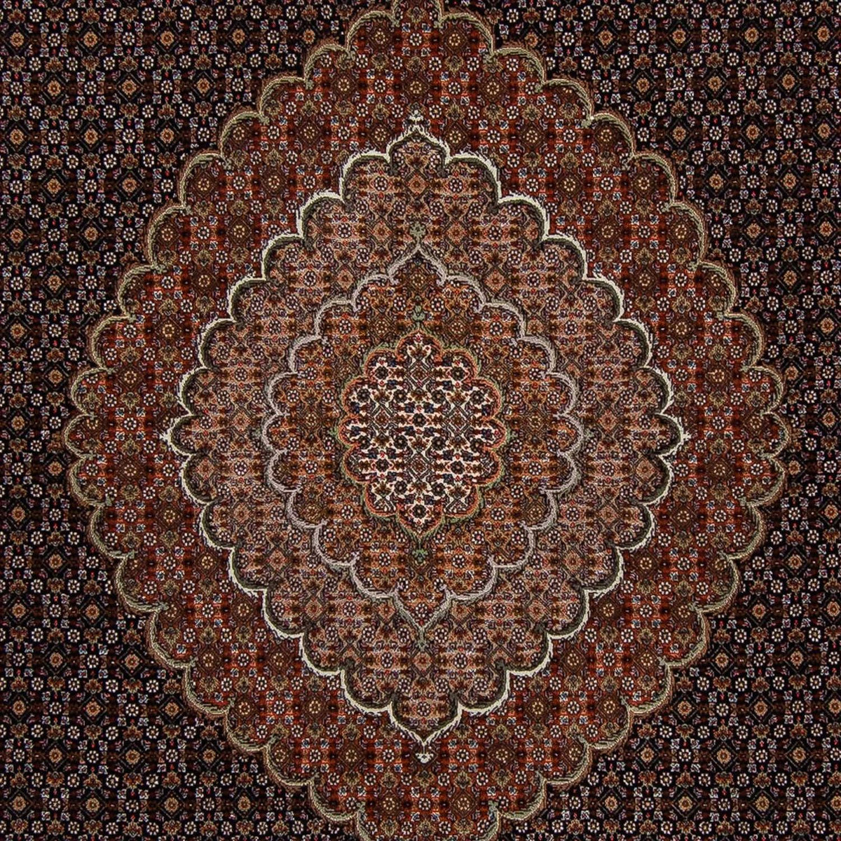 Tapis persan - Tabriz - 353 x 255 cm - marron