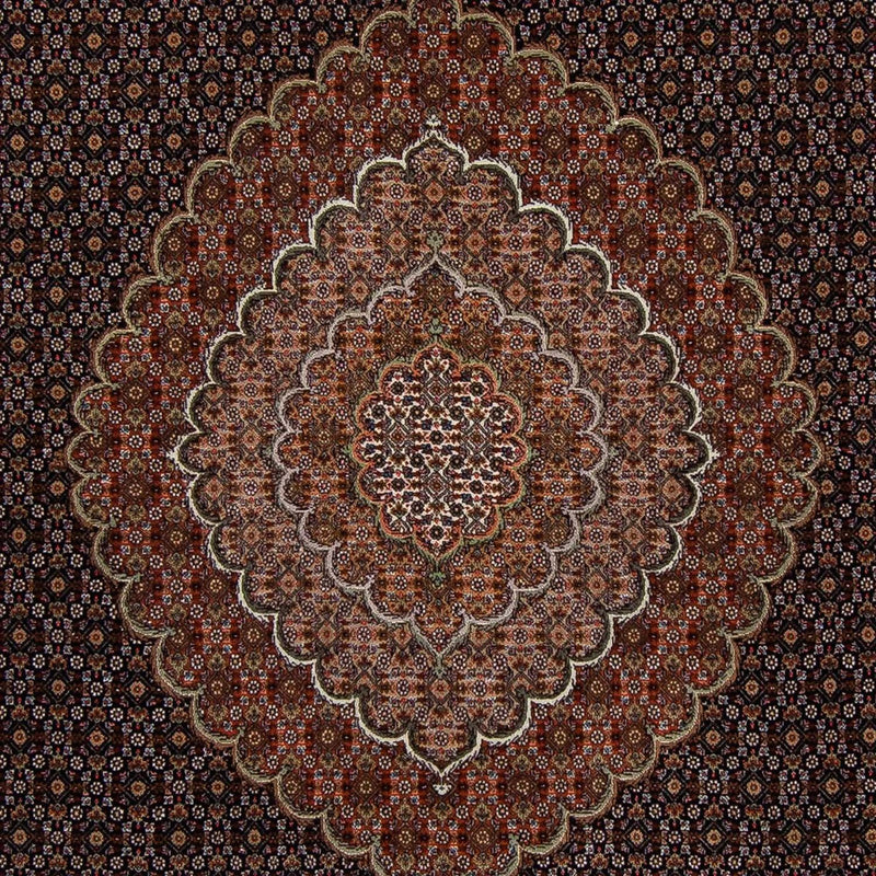 Tapis persan - Tabriz - 353 x 255 cm - marron