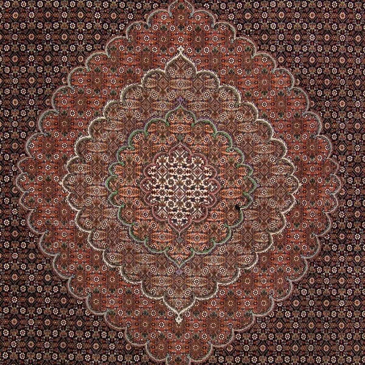 Tapis persan - Tabriz - 370 x 256 cm - marron