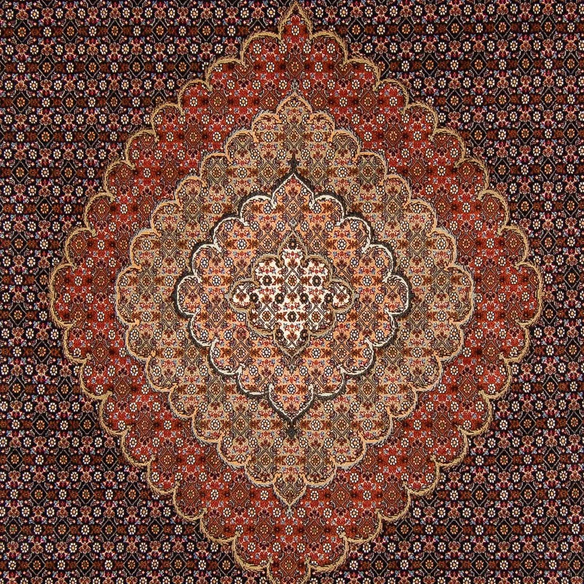 Tapis persan - Tabriz - 370 x 250 cm - marron