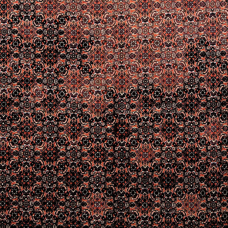 Tapis persan - Bidjar - 250 x 173 cm - rouge clair