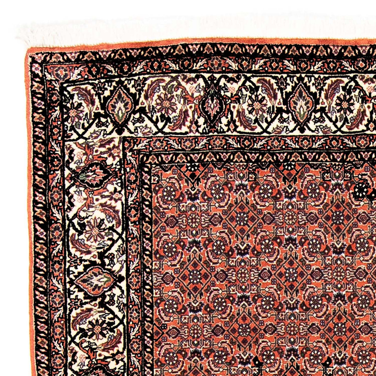 Tapis persan - Bidjar - 250 x 173 cm - rouge clair