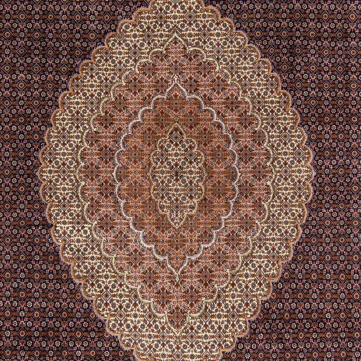 Tapis persan - Tabriz - 336 x 250 cm - marron