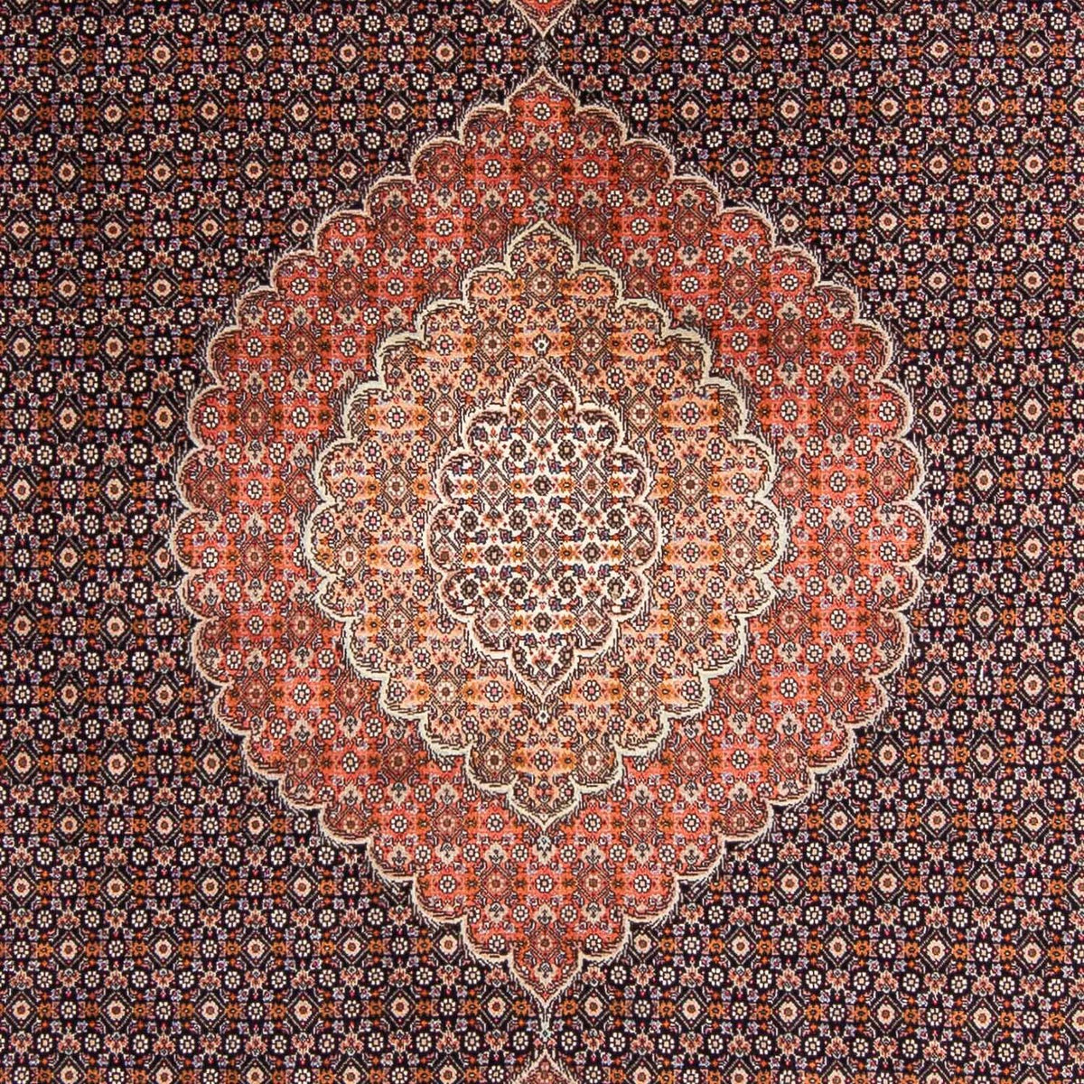 Tapis persan - Tabriz - 295 x 203 cm - bleu foncé