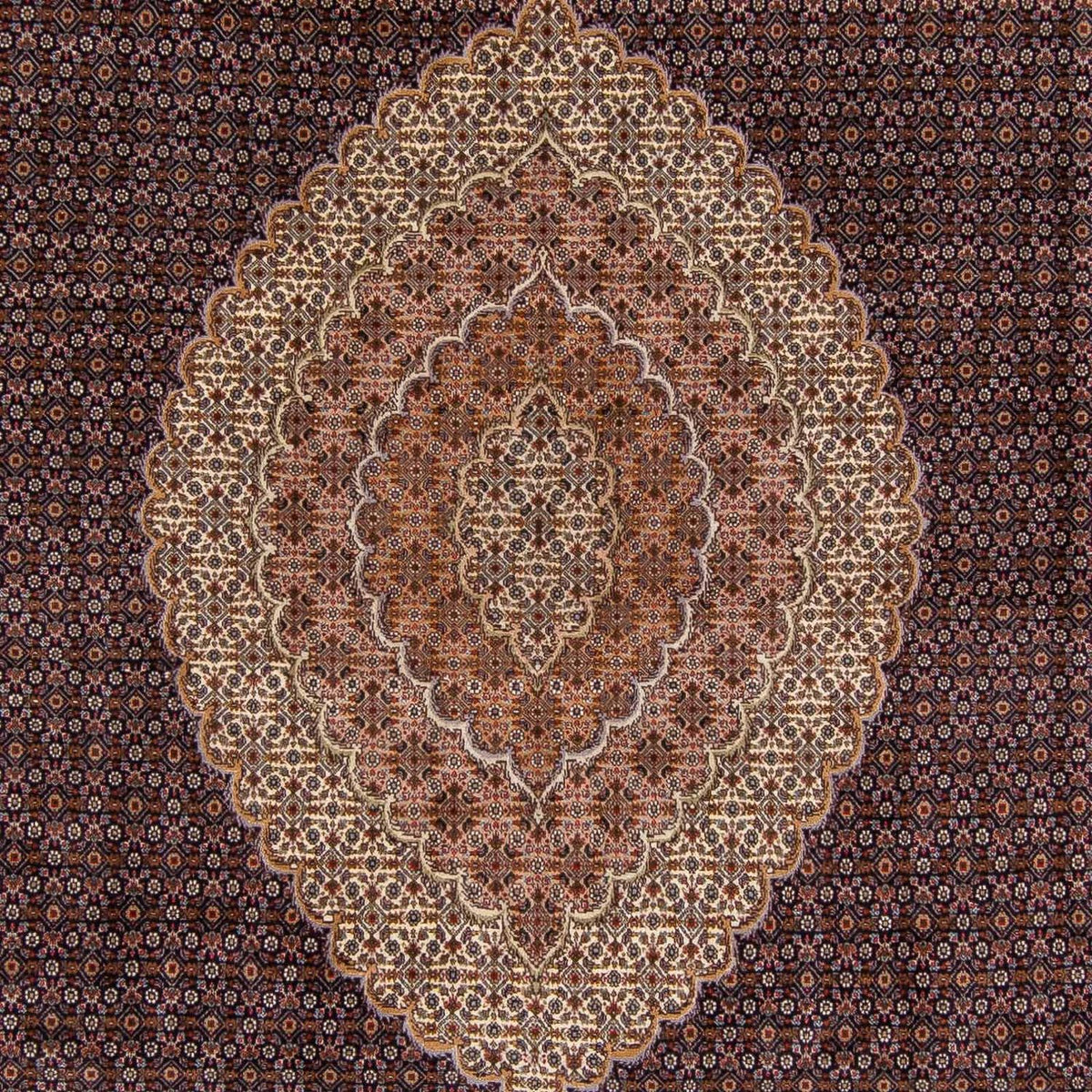 Tapis persan - Tabriz - 338 x 248 cm - marron clair