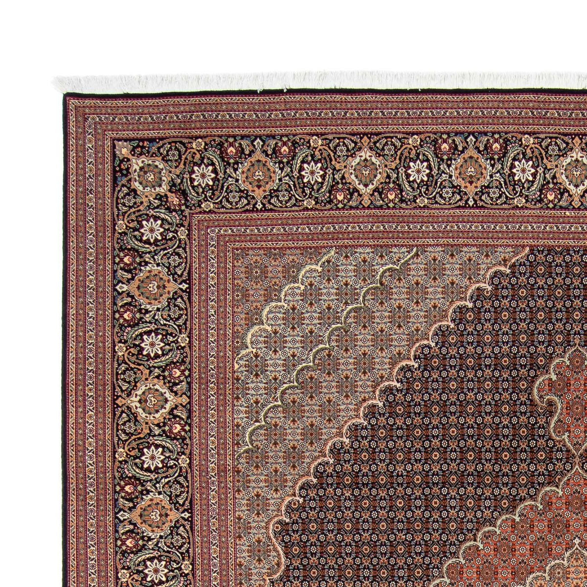 Tapis persan - Tabriz - 303 x 250 cm - marron clair