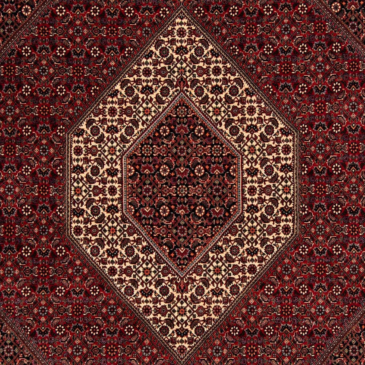 Tapis persan - Bidjar - 247 x 202 cm - rouge foncé