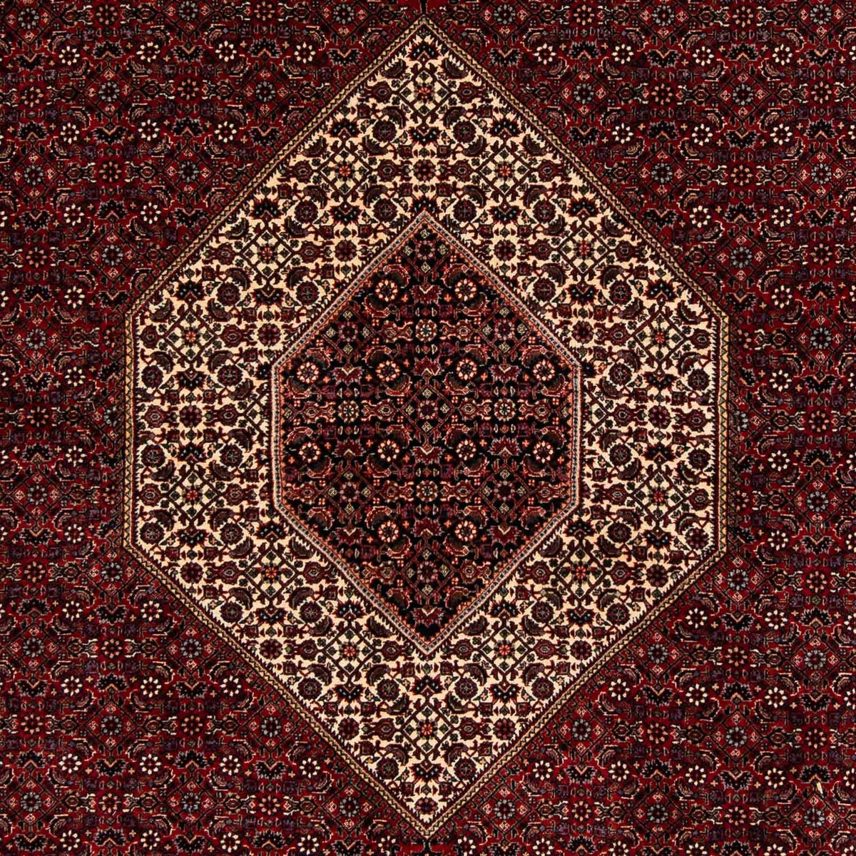 Tapis persan - Bidjar - 257 x 204 cm - rouge foncé