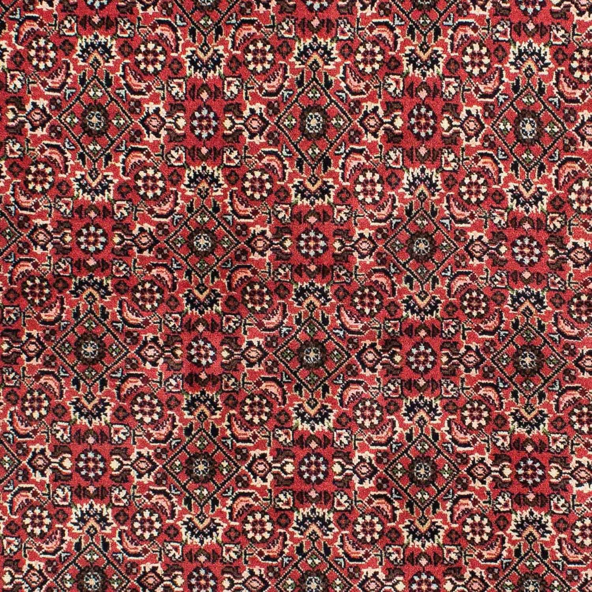 Tapis persan - Bidjar - 208 x 139 cm - rouge