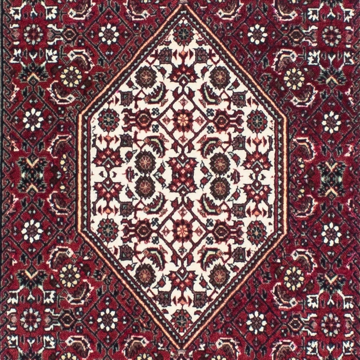 Tapis de couloir Tapis persan - Bidjar - 248 x 73 cm - rouge foncé